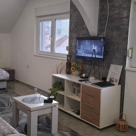 Apartments Ivanovic Center City Bajina Basta Ngoại thất bức ảnh
